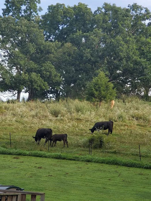 Yellowstone Lake Chalet Campground Picture 6