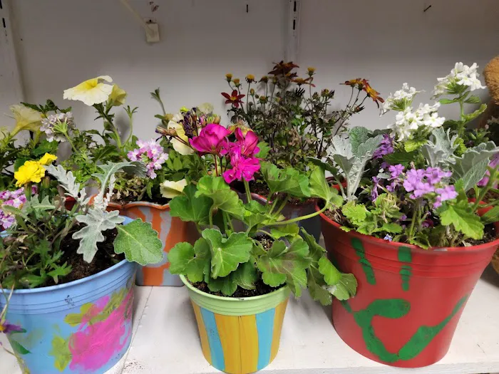 Backyard Campground Picture 2