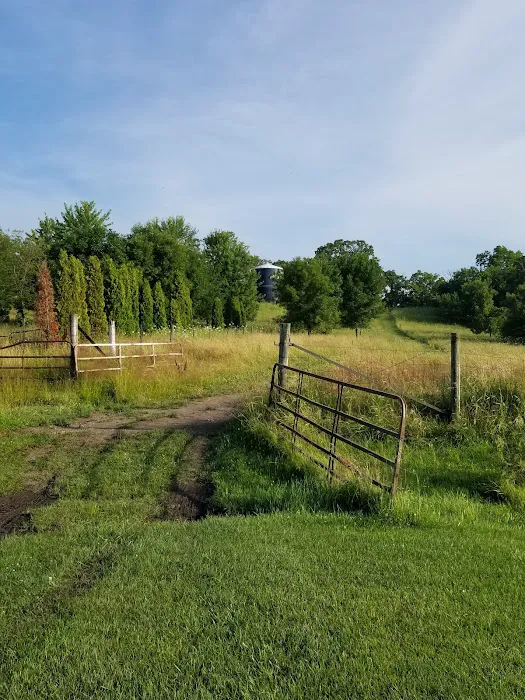 Linden Campground Picture 10