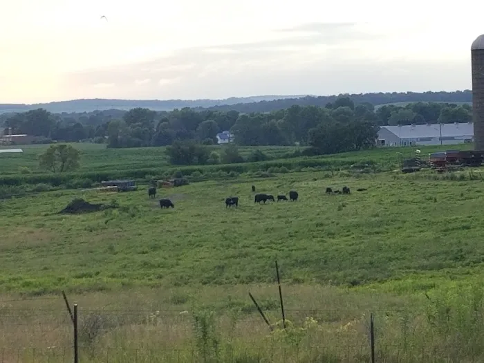 Linden Campground Picture 9