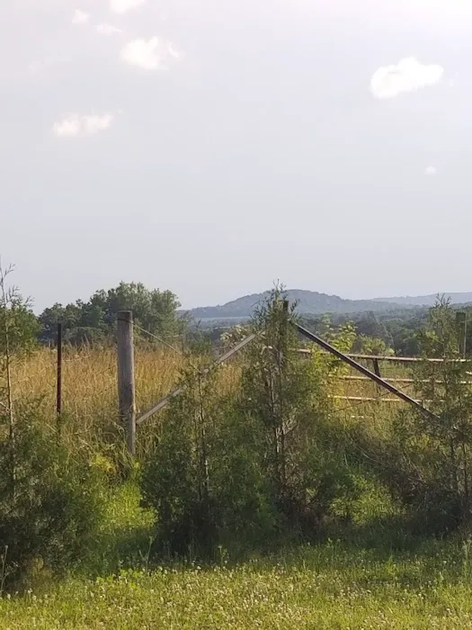 Linden Campground Picture 8