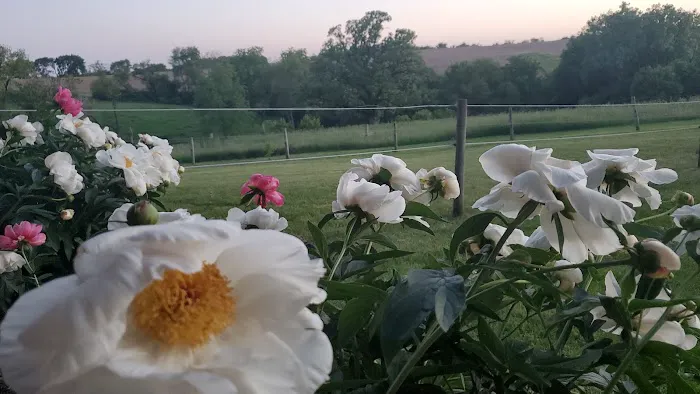 Vel Terra Campground Picture 4