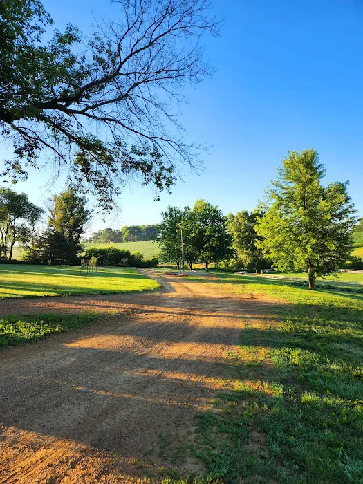 Vel Terra Campground Picture 9