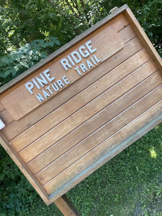 Apple Canyon Lake Campground Picture 6