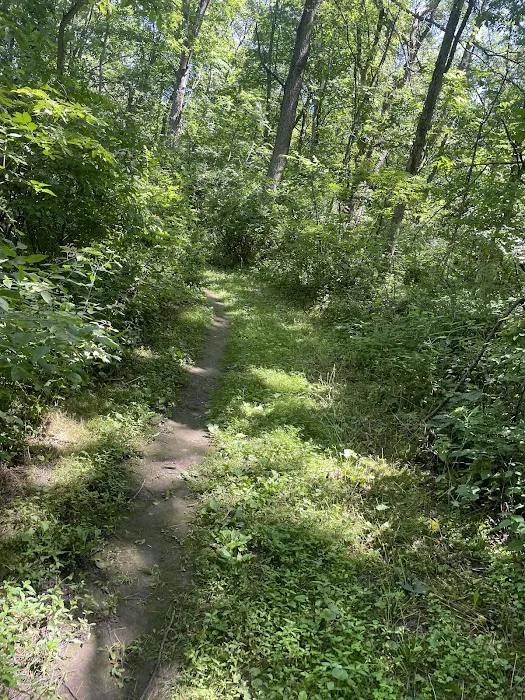 Apple Canyon Lake Campground Picture 10