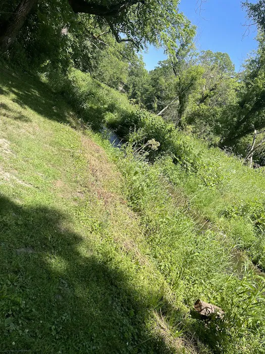 Apple Canyon Lake Campground Picture 3