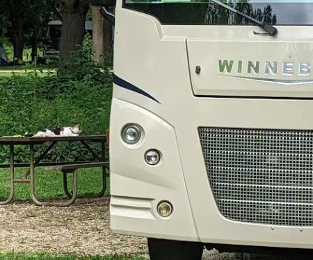 Mississippi Palisades State Park Campground