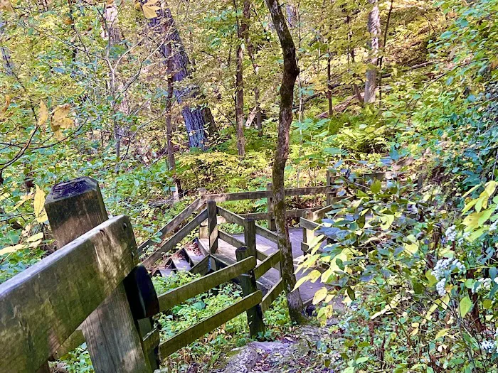 Mississippi Palisades State Park Campground Picture 5