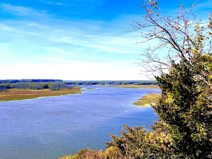 Mississippi Palisades State Park Campground Picture 3