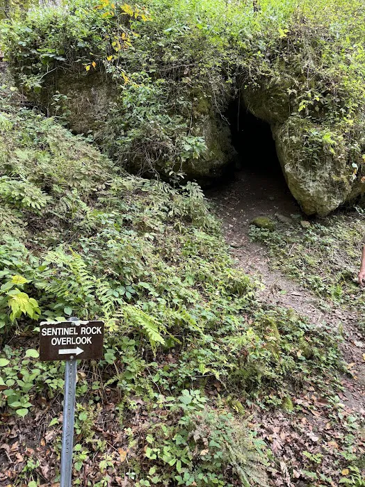 Mississippi Palisades State Park Campground Picture 8
