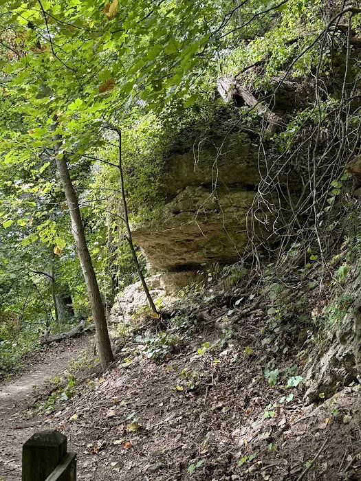 Mississippi Palisades State Park Campground Picture 10