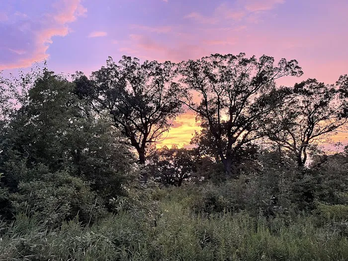 Sandhill Station Campground Picture 4