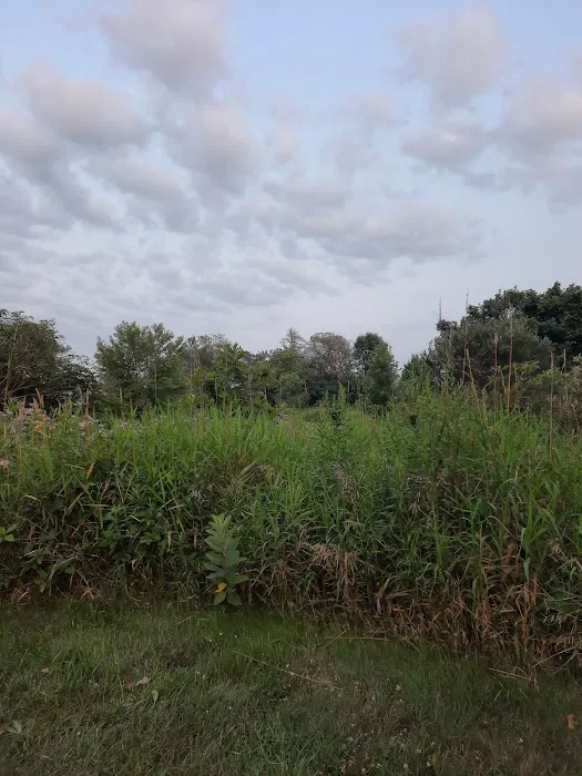 Sandhill Station Campground Picture 1