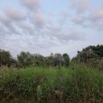 Sandhill Station Campground