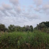 Sandhill Station Campground ico