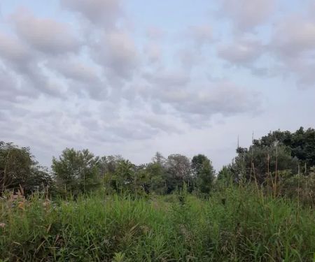 Sandhill Station Campground