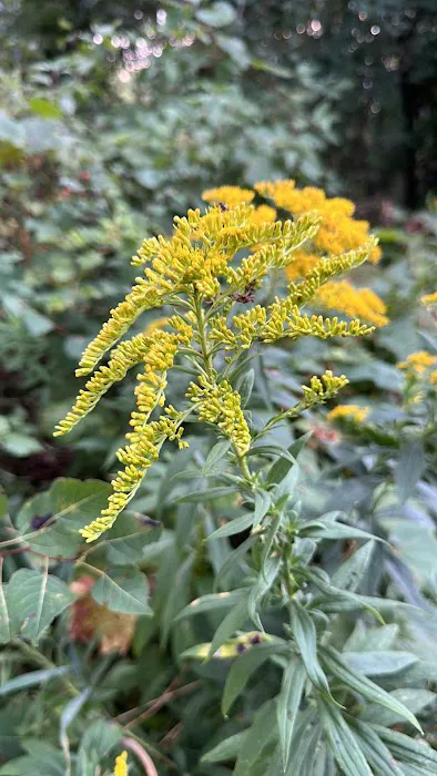 Sandhill Station Campground Picture 6