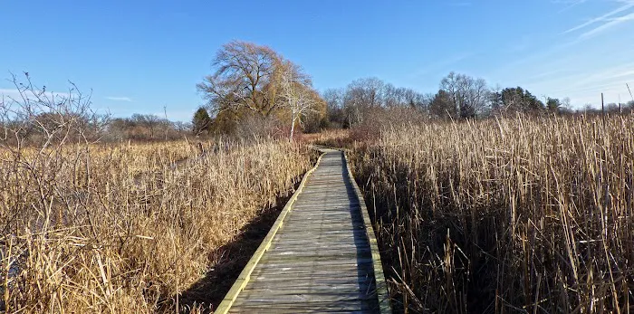 Sandhill Station Campground Picture 8