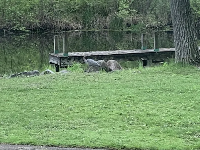 Babcock County Park Campground Picture 2