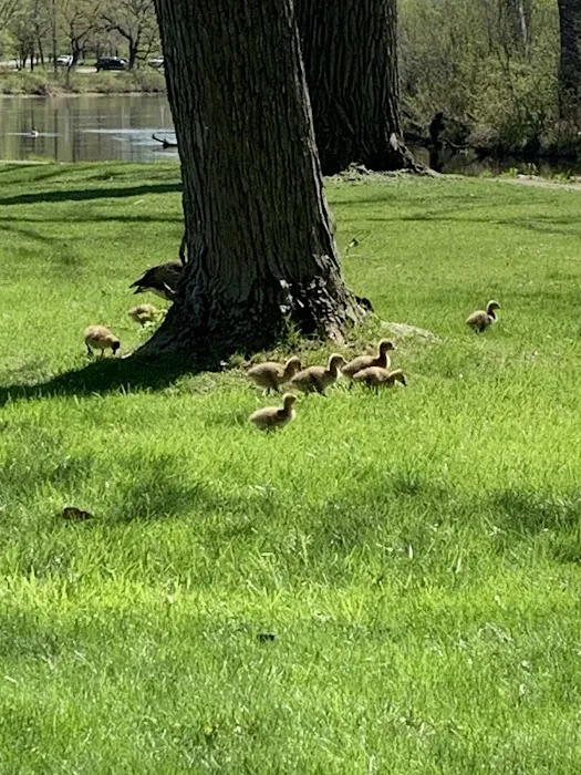 Babcock County Park Campground Picture 4