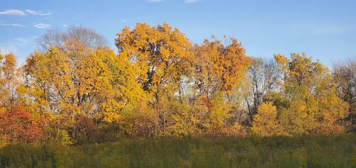 Camp Nuding Picture 4