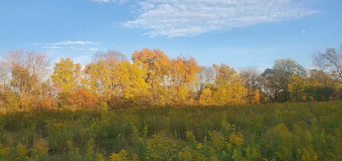 Camp Nuding Picture 3