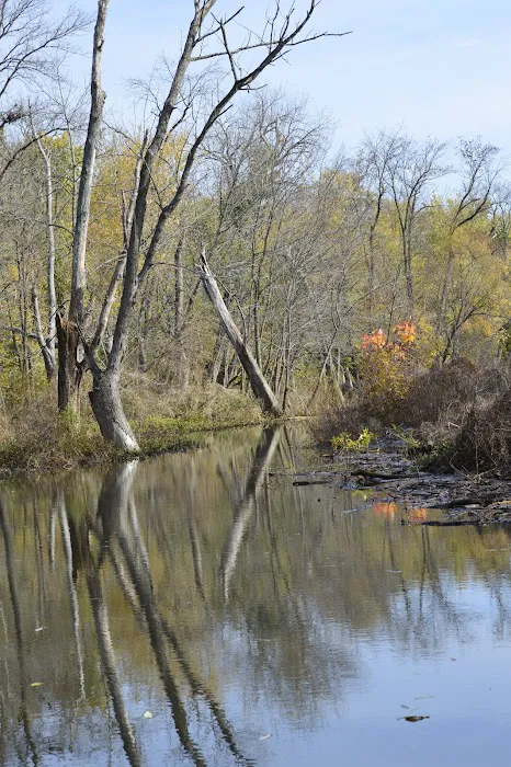 Anderson Lake Public Hunting Picture 7