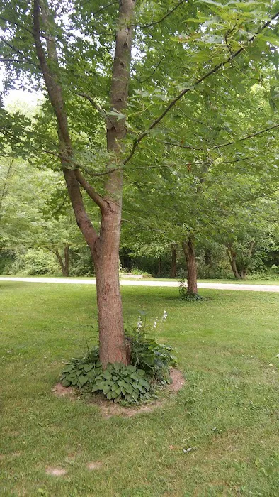 Whispering Oaks Campground Picture 10