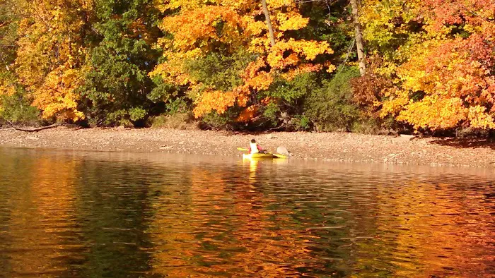 Allison Lake Storey Campground Picture 7