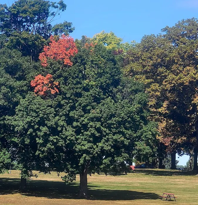 Allison Lake Storey Campground Picture 8