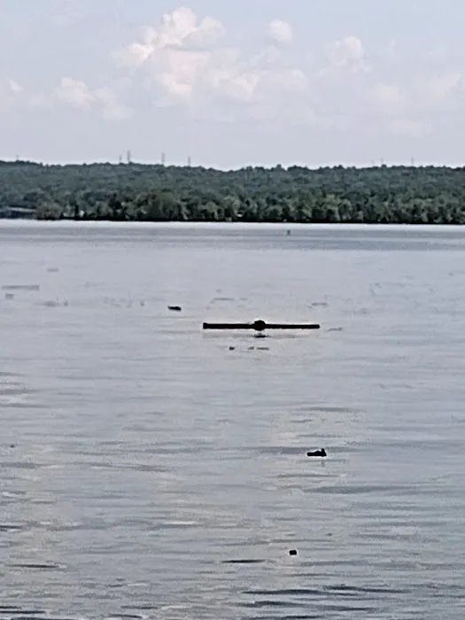 Nathan Bedford State Park Lakeshore Campground Picture 3