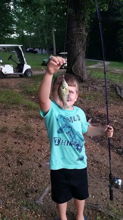 Britton Ford Campground Picture 10