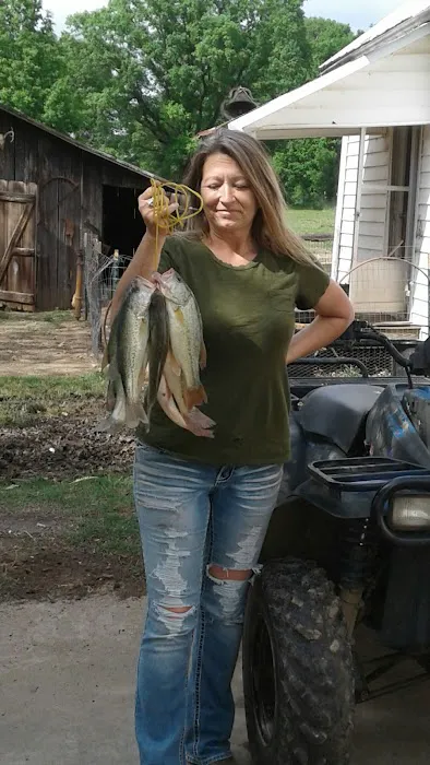 Britton Ford Campground Picture 8