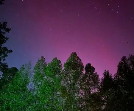 The Owl's Altered Estate