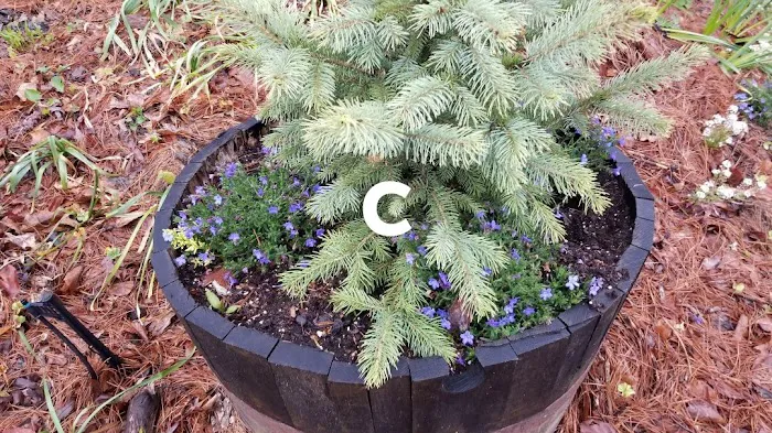 Goose Hollow Camp Ground & RV Picture 7