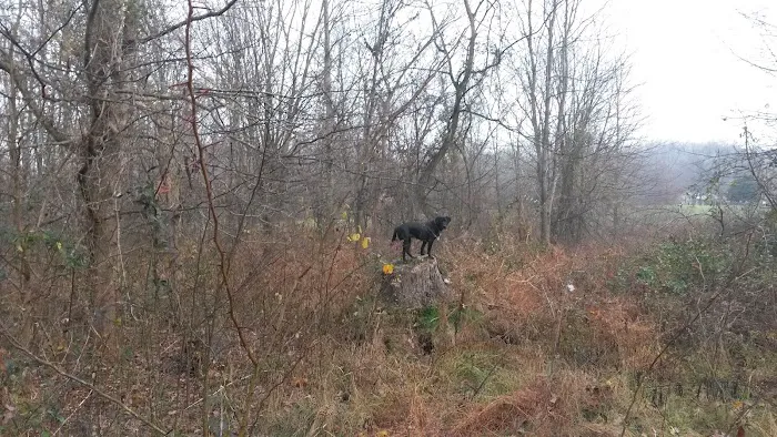 Goose Hollow Camp Ground & RV Picture 6