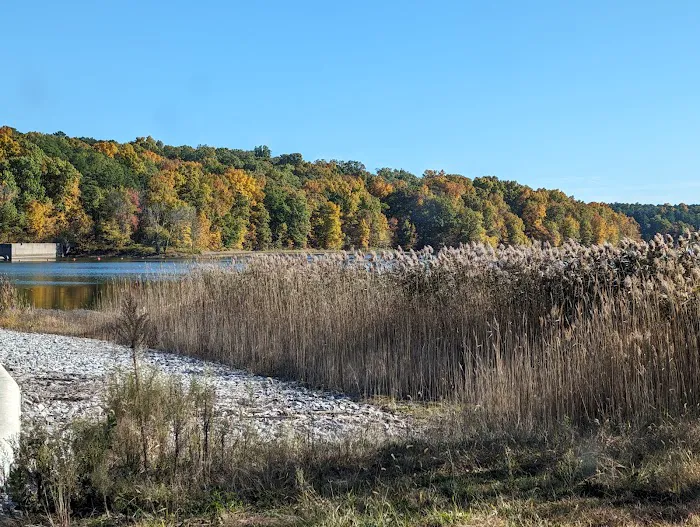Devils Kitchen Group Campground Picture 4