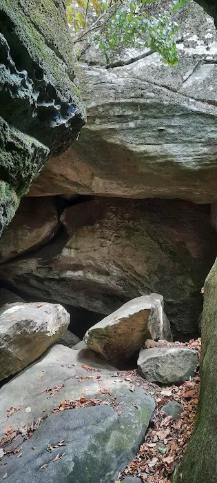 Giant City Class A Campground Picture 3