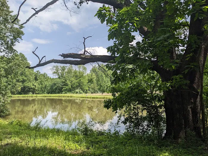 Giant City Class A Campground Picture 10