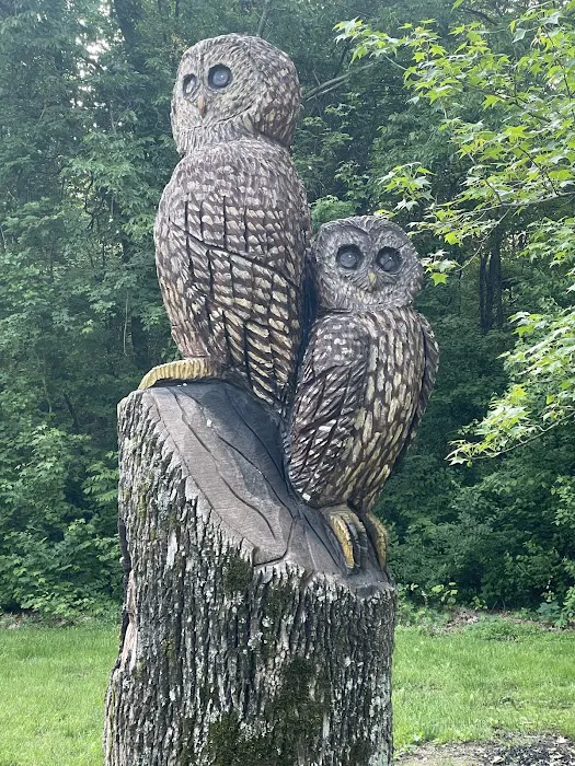 Giant City Class A Campground Picture 8