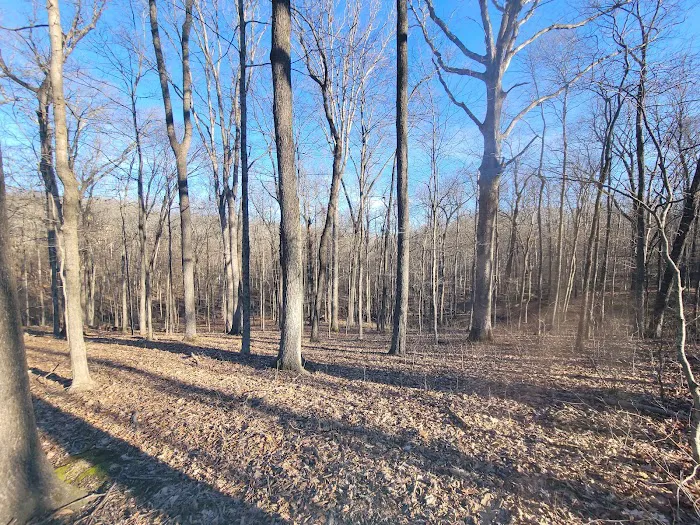 Giant City Class C Campground Picture 9