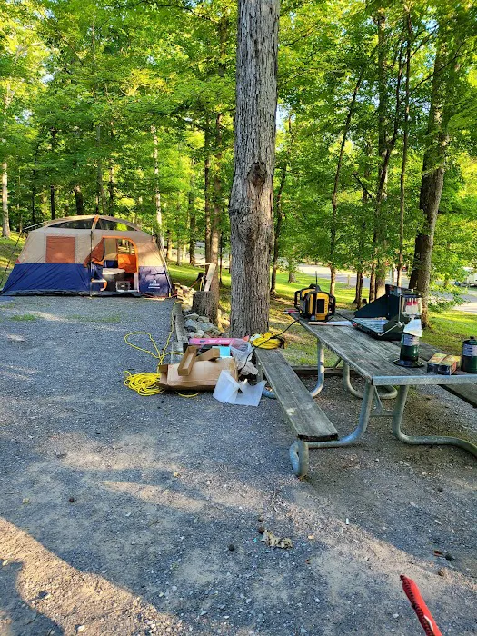 Hillman Ferry Campground Picture 4