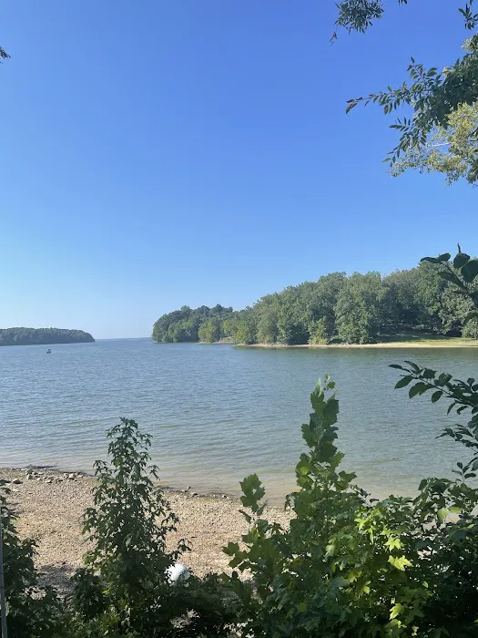 Hillman Ferry Campground Picture 6