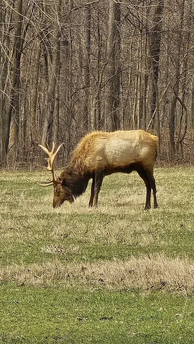 Birmingham Point Campground Picture 7