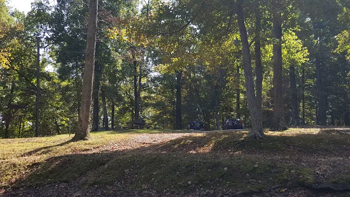 Birmingham Ferry Campground & Boat Ramp Picture 3