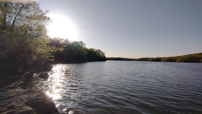 Birmingham Ferry Campground & Boat Ramp Picture 8