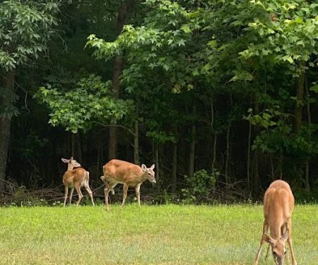 Sizzlin Sisters Campground