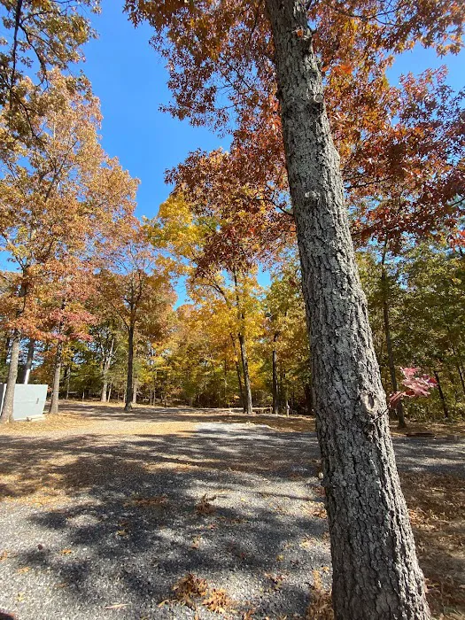 Sizzlin Sisters Campground Picture 2