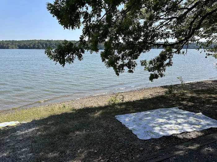Smith Bay Self-Service Campground & Boat Ramp Picture 5