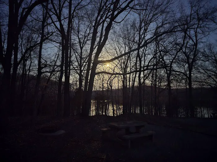 Smith Bay Self-Service Campground & Boat Ramp Picture 9
